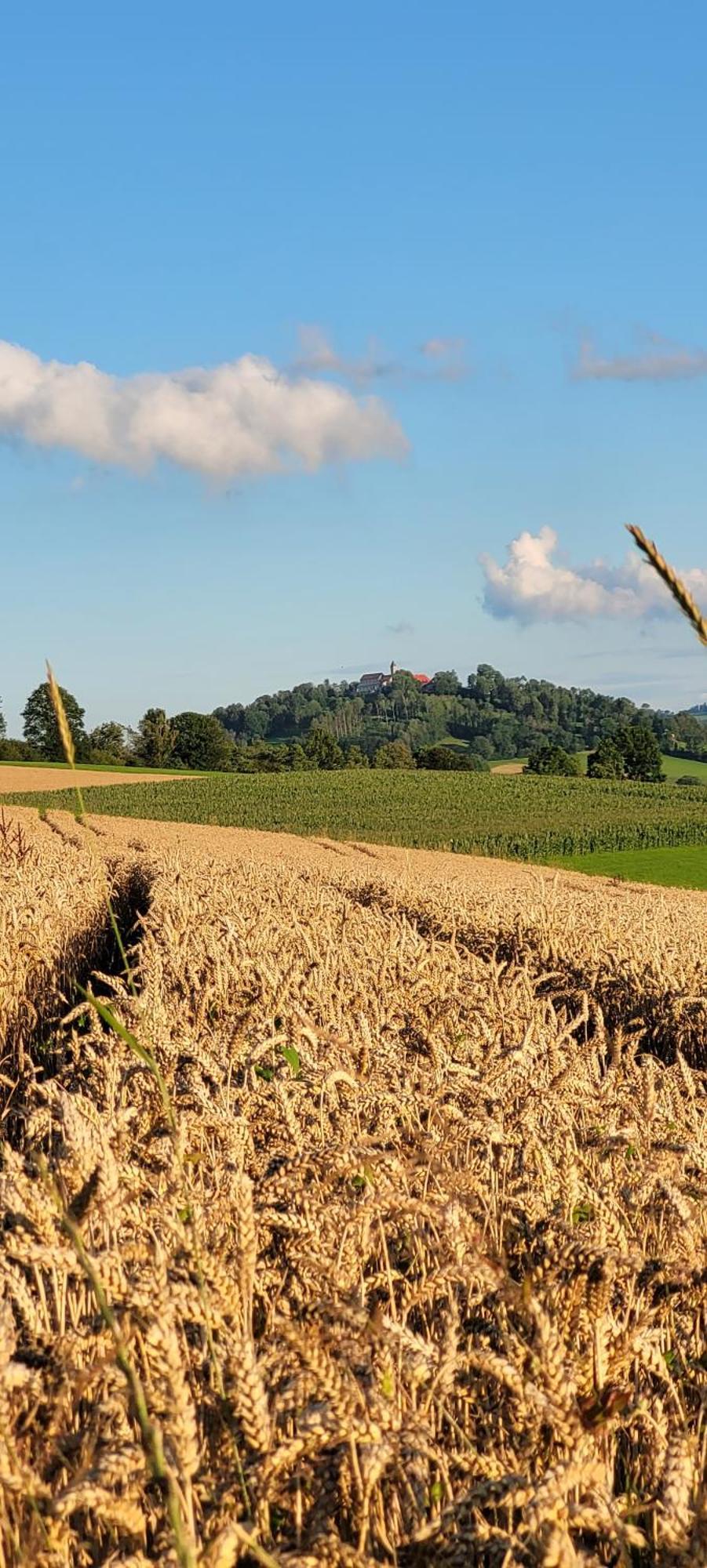 Ferienwohnung Bayerwaldblick Jandelsbrunn エクステリア 写真