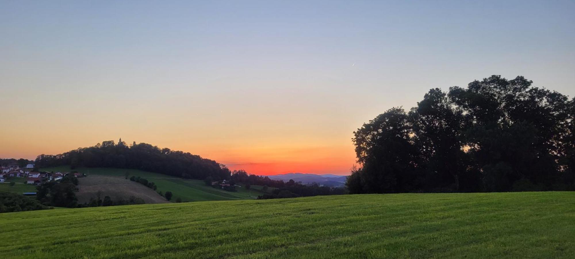 Ferienwohnung Bayerwaldblick Jandelsbrunn エクステリア 写真