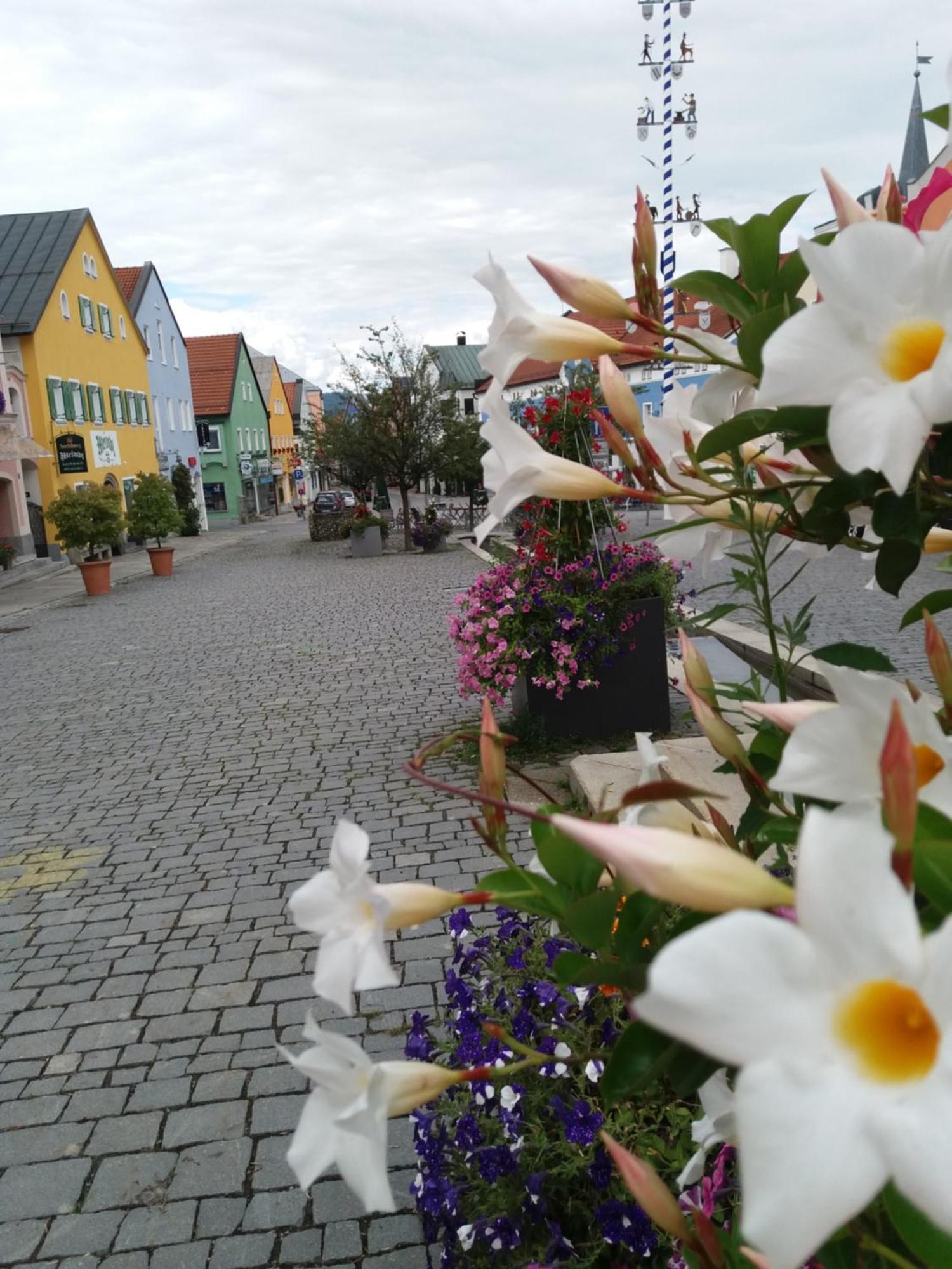 Ferienwohnung Bayerwaldblick Jandelsbrunn エクステリア 写真