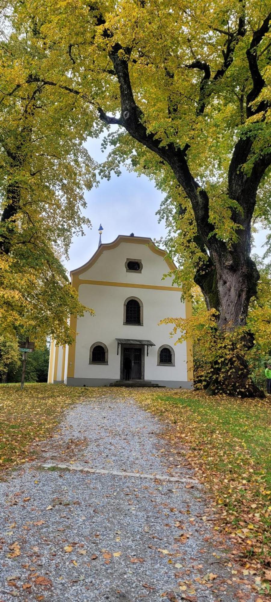 Ferienwohnung Bayerwaldblick Jandelsbrunn エクステリア 写真