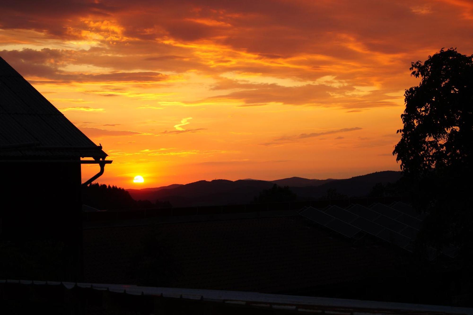 Ferienwohnung Bayerwaldblick Jandelsbrunn エクステリア 写真