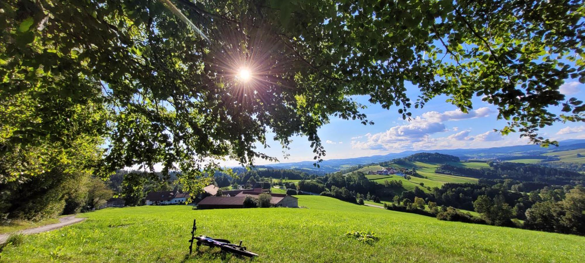 Ferienwohnung Bayerwaldblick Jandelsbrunn エクステリア 写真