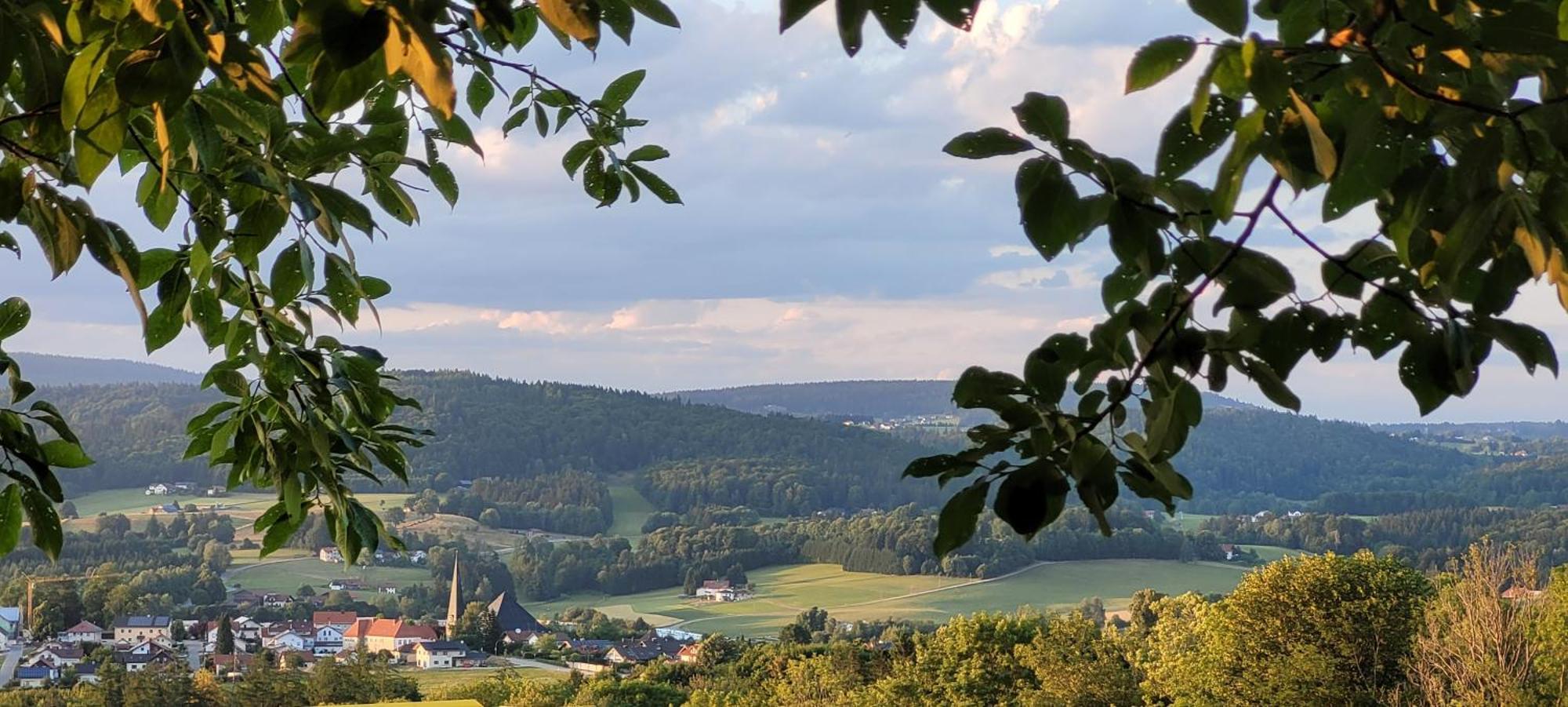 Ferienwohnung Bayerwaldblick Jandelsbrunn エクステリア 写真