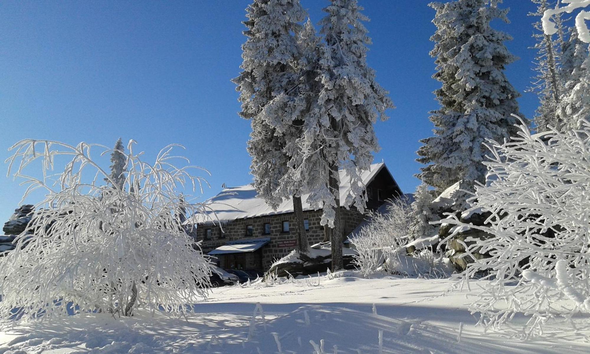 Ferienwohnung Bayerwaldblick Jandelsbrunn エクステリア 写真