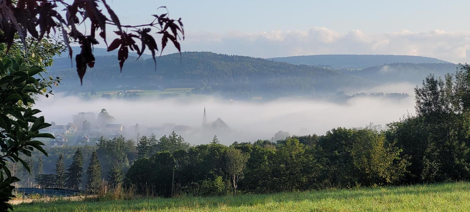 Ferienwohnung Bayerwaldblick Jandelsbrunn エクステリア 写真